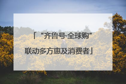 “齐鲁号·全球购”联动多方惠及消费者