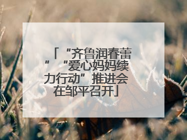 “齐鲁润春蕾”“爱心妈妈续力行动”推进会在邹平召开