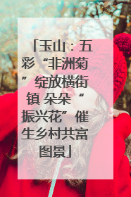 玉山：五彩“非洲菊”绽放横街镇 朵朵“振兴花”催生乡村共富图景