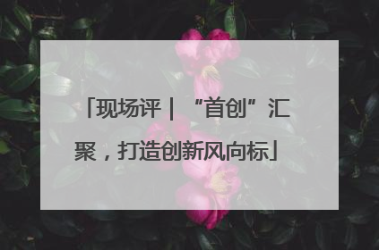 现场评｜“首创”汇聚，打造创新风向标