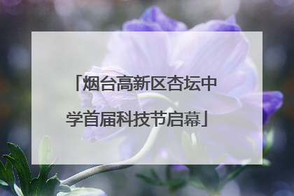 烟台高新区杏坛中学首届科技节启幕