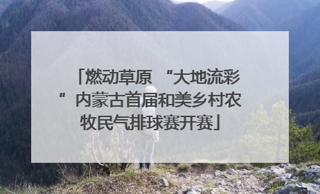 燃动草原 “大地流彩”内蒙古首届和美乡村农牧民气排球赛开赛