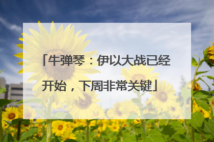 牛弹琴：伊以大战已经开始，下周非常关键