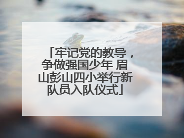 牢记党的教导，争做强国少年 眉山彭山四小举行新队员入队仪式