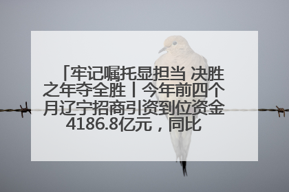 牢记嘱托显担当 决胜之年夺全胜丨今年前四个月辽宁招商引资到位资金4186.8亿元，同比增长17.4%