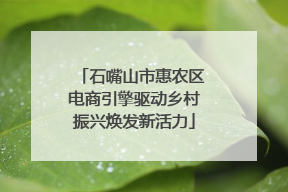 石嘴山市惠农区电商引擎驱动乡村振兴焕发新活力