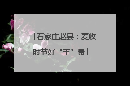 石家庄赵县：麦收时节好“丰”景