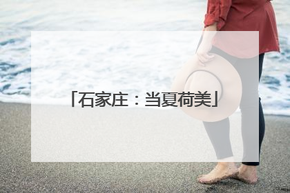 石家庄：当夏荷美