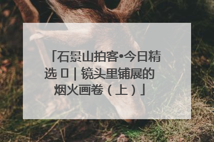 石景山拍客•今日精选 ㉓｜镜头里铺展的烟火画卷（上）