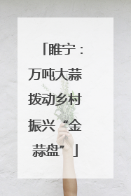 睢宁：万吨大蒜拨动乡村振兴“金蒜盘”