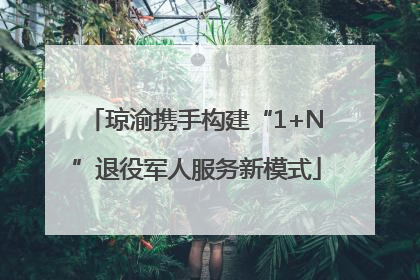 琼渝携手构建“1+N”退役军人服务新模式