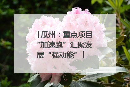 瓜州：重点项目“加速跑”汇聚发展“强动能”