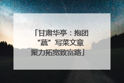 甘肃华亭：抱团“蔬”写菜文章 聚力拓宽致富路