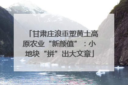 甘肃庄浪重塑黄土高原农业“新颜值”：小地块“拼”出大文章