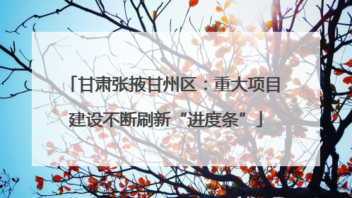 甘肃张掖甘州区：重大项目建设不断刷新“进度条”