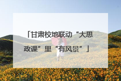 甘肃校地联动“大思政课”里“有风景”