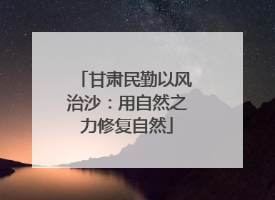 甘肃民勤以风治沙：用自然之力修复自然