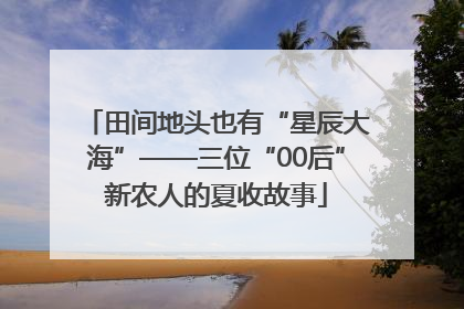 田间地头也有“星辰大海”——三位“00后”新农人的夏收故事