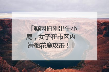 疑因拍刚出生小鹿，女子在市区内遭梅花鹿攻击！