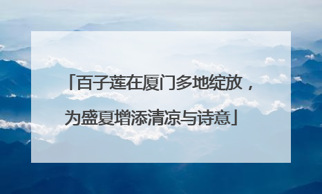 百子莲在厦门多地绽放，为盛夏增添清凉与诗意