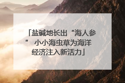 盐碱地长出“海人参” 小小海虫草为海洋经济注入新活力