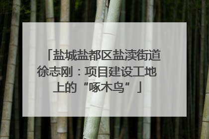 盐城盐都区盐渎街道徐志刚：项目建设工地上的“啄木鸟”