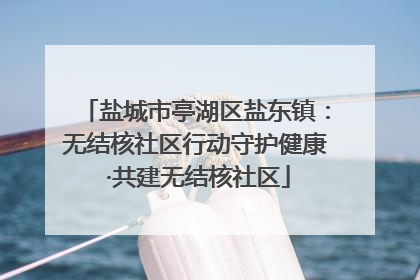盐城市亭湖区盐东镇：无结核社区行动守护健康 ·共建无结核社区