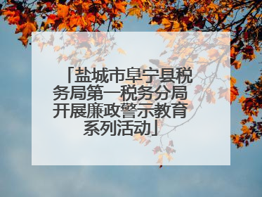 盐城市阜宁县税务局第一税务分局开展廉政警示教育系列活动