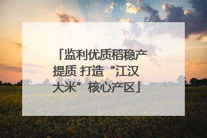 监利优质稻稳产提质 打造“江汉大米”核心产区