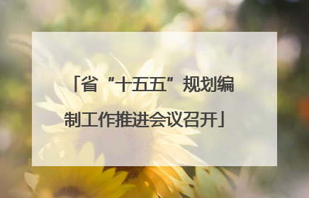 省“十五五”规划编制工作推进会议召开
