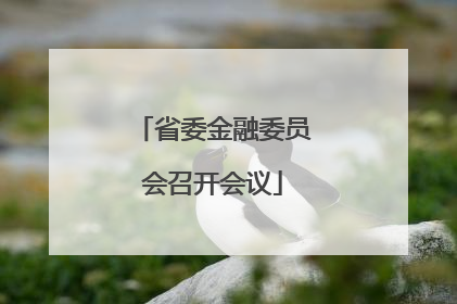 省委金融委员会召开会议