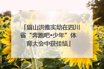 眉山洪雅实幼在四川省“奔跑吧•少年”体育大会中获佳绩