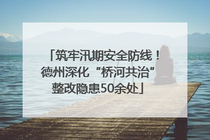 筑牢汛期安全防线！德州深化“桥河共治”整改隐患50余处