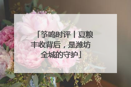 筝鸣时评丨夏粮丰收背后，是潍坊全城的守护