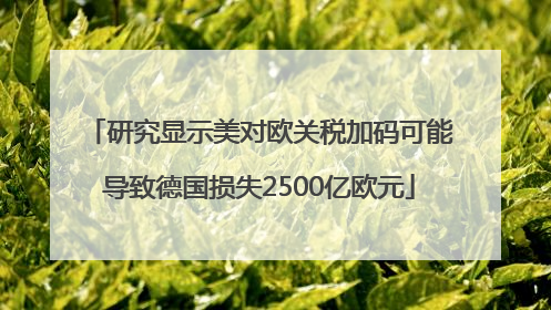 研究显示美对欧关税加码可能导致德国损失2500亿欧元