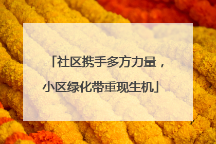 社区携手多方力量，小区绿化带重现生机
