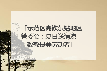 示范区高铁东站地区管委会：夏日送清凉 致敬最美劳动者