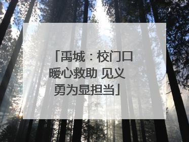 禹城：校门口暖心救助 见义勇为显担当