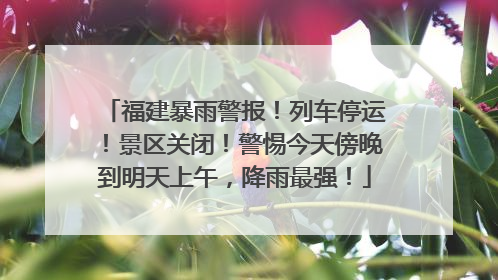 福建暴雨警报！列车停运！景区关闭！警惕今天傍晚到明天上午，降雨最强！