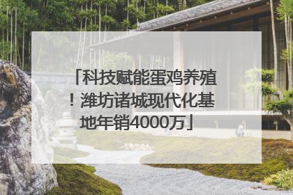 科技赋能蛋鸡养殖！潍坊诸城现代化基地年销4000万