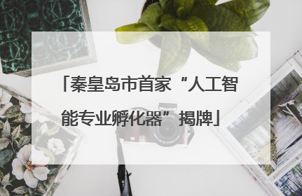 秦皇岛市首家“人工智能专业孵化器”揭牌