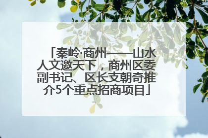 秦岭·商州——山水人文邀天下，商州区委副书记、区长支朝奇推介5个重点招商项目