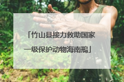 竹山县接力救助国家一级保护动物海南鳽