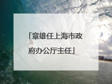 章雄任上海市政府办公厅主任