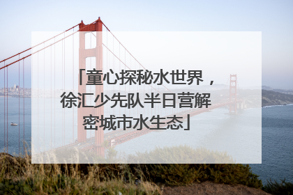 童心探秘水世界，徐汇少先队半日营解密城市水生态
