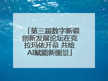 第三届数字新疆创新发展论坛在克拉玛依开幕 共绘AI赋能新图景