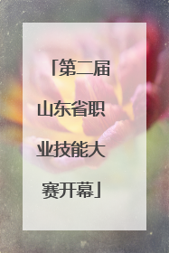 第二届山东省职业技能大赛开幕
