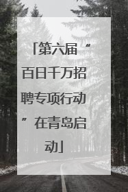 第六届“百日千万招聘专项行动”在青岛启动