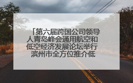 第六届跨国公司领导人青岛峰会通用航空和低空经济发展论坛举行 滨州市全方位推介低空经济发展优势