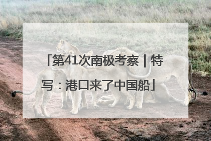 第41次南极考察｜特写：港口来了中国船